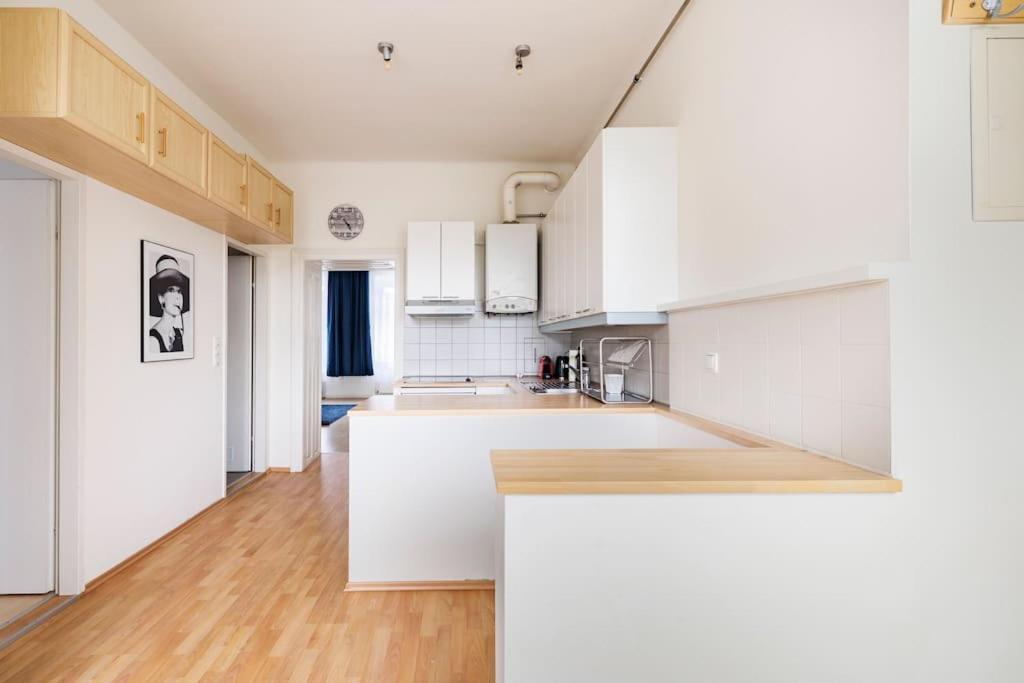 Beautiful 1 Bedroom Apartment Near Schoenbrunn Vienna Luaran gambar